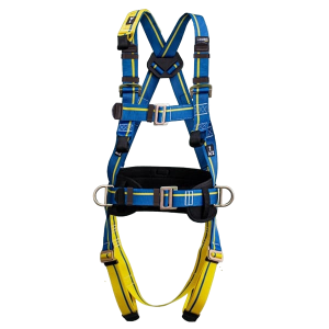 Fall Protection Harness
